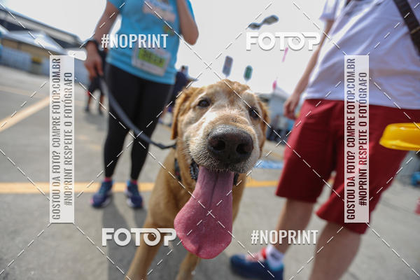 Achetez vos photos de l'�v�nementC�orrida Scooby Doo Internacional Shopping Guarulhos 2019 sur Fotop