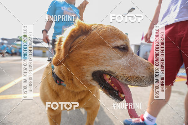 Achetez vos photos de l'�v�nementC�orrida Scooby Doo Internacional Shopping Guarulhos 2019 sur Fotop