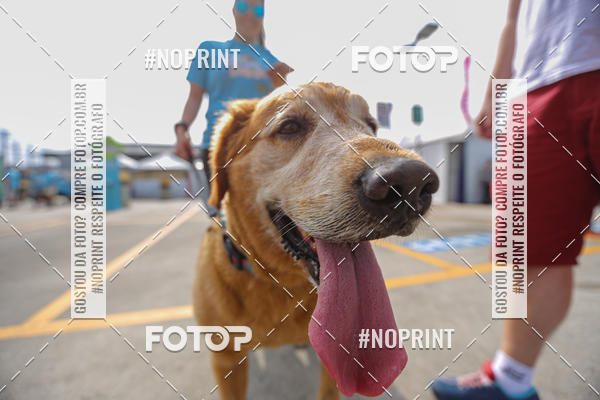 Achetez vos photos de l'�v�nementC�orrida Scooby Doo Internacional Shopping Guarulhos 2019 sur Fotop