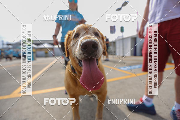 Achetez vos photos de l'�v�nementC�orrida Scooby Doo Internacional Shopping Guarulhos 2019 sur Fotop