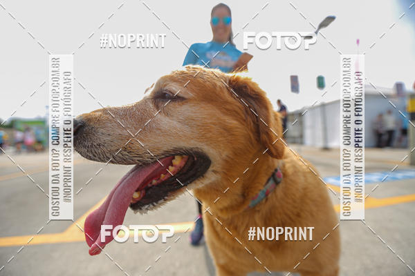 Achetez vos photos de l'�v�nementC�orrida Scooby Doo Internacional Shopping Guarulhos 2019 sur Fotop