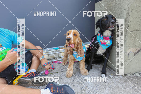 Achetez vos photos de l'�v�nementC�orrida Scooby Doo Internacional Shopping Guarulhos 2019 sur Fotop