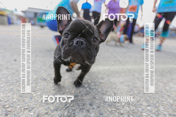 Achetez vos photos de l'�v�nementC�orrida Scooby Doo Internacional Shopping Guarulhos 2019 sur Fotop