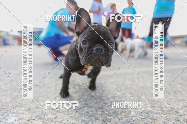 Achetez vos photos de l'�v�nementC�orrida Scooby Doo Internacional Shopping Guarulhos 2019 sur Fotop