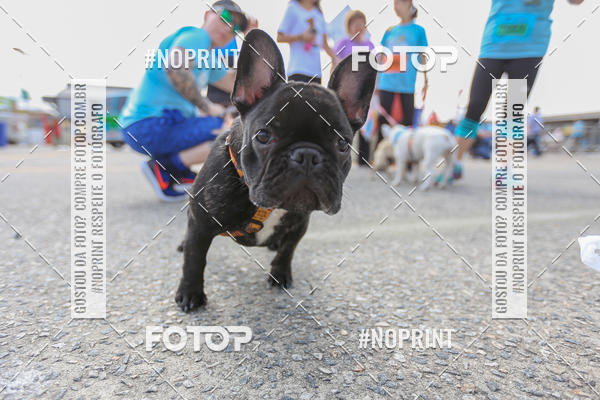 Achetez vos photos de l'�v�nementC�orrida Scooby Doo Internacional Shopping Guarulhos 2019 sur Fotop