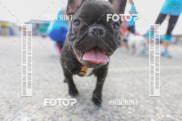 Achetez vos photos de l'�v�nementC�orrida Scooby Doo Internacional Shopping Guarulhos 2019 sur Fotop