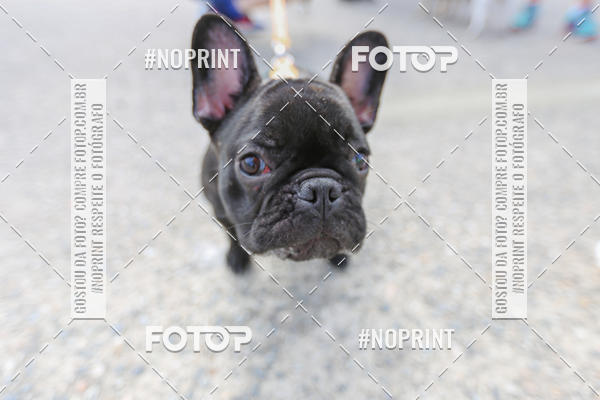 Achetez vos photos de l'�v�nementC�orrida Scooby Doo Internacional Shopping Guarulhos 2019 sur Fotop