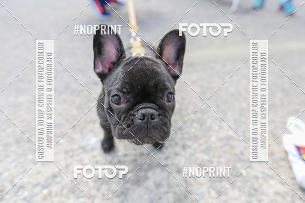 Achetez vos photos de l'�v�nementC�orrida Scooby Doo Internacional Shopping Guarulhos 2019 sur Fotop