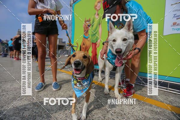 Achetez vos photos de l'�v�nementC�orrida Scooby Doo Internacional Shopping Guarulhos 2019 sur Fotop