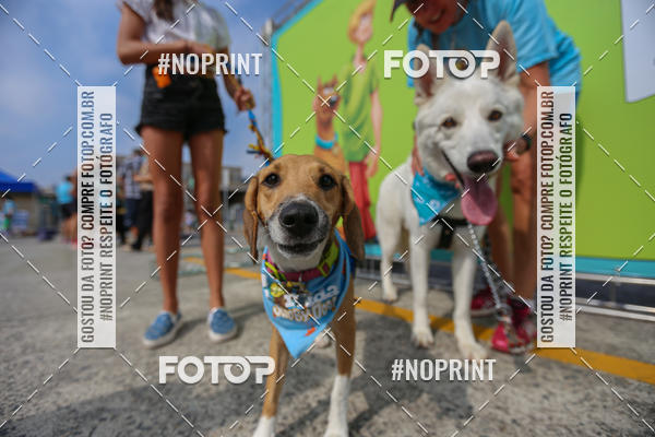 Acquista le foto dell'eventoC�orrida Scooby Doo Internacional Shopping Guarulhos 2019 in Fotop