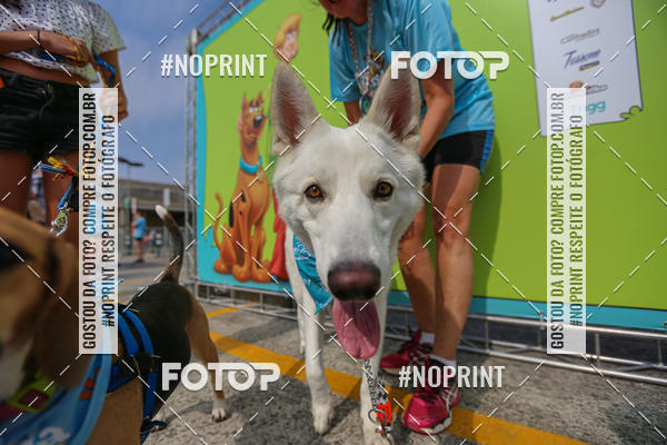 Acquista le foto dell'eventoC�orrida Scooby Doo Internacional Shopping Guarulhos 2019 in Fotop