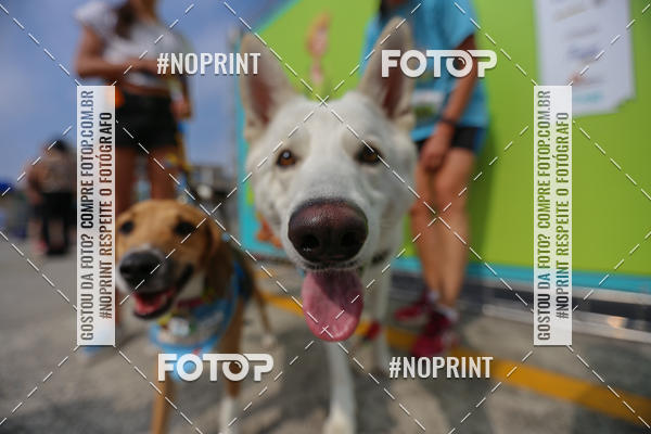 Acquista le foto dell'eventoC�orrida Scooby Doo Internacional Shopping Guarulhos 2019 in Fotop