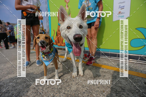 Acquista le foto dell'eventoC�orrida Scooby Doo Internacional Shopping Guarulhos 2019 in Fotop