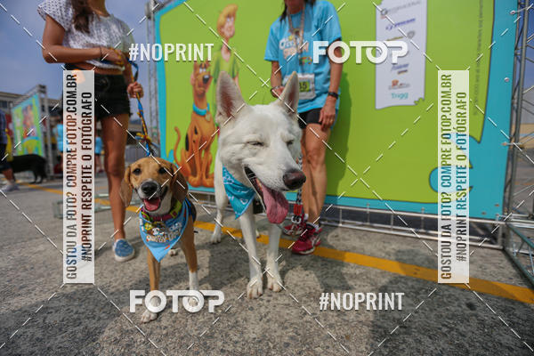 Acquista le foto dell'eventoC�orrida Scooby Doo Internacional Shopping Guarulhos 2019 in Fotop