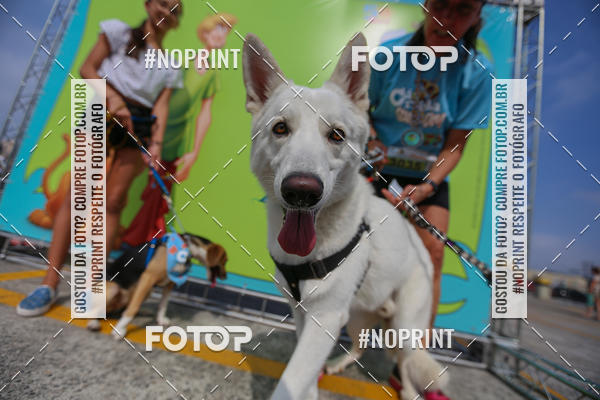 Acquista le foto dell'eventoC�orrida Scooby Doo Internacional Shopping Guarulhos 2019 in Fotop