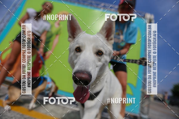 Acquista le foto dell'eventoC�orrida Scooby Doo Internacional Shopping Guarulhos 2019 in Fotop