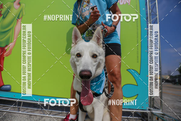 Acquista le foto dell'eventoC�orrida Scooby Doo Internacional Shopping Guarulhos 2019 in Fotop