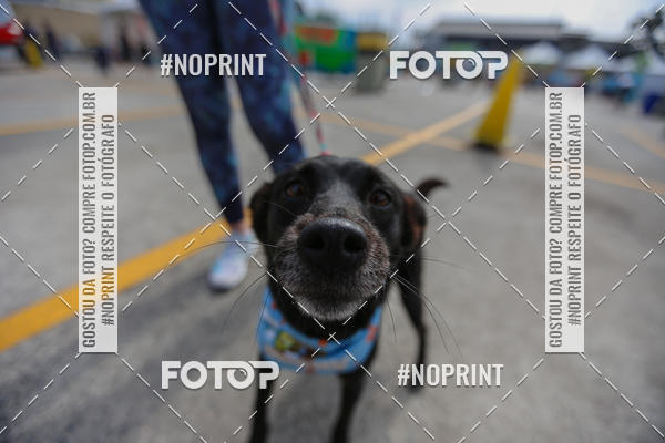 Buy your photos of the eventCorrida Scooby Doo Internacional Shopping Guarulhos 2019 on Fotop
