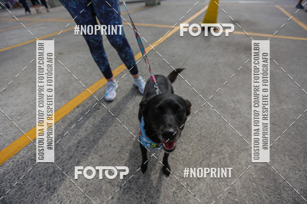 Buy your photos of the eventCorrida Scooby Doo Internacional Shopping Guarulhos 2019 on Fotop