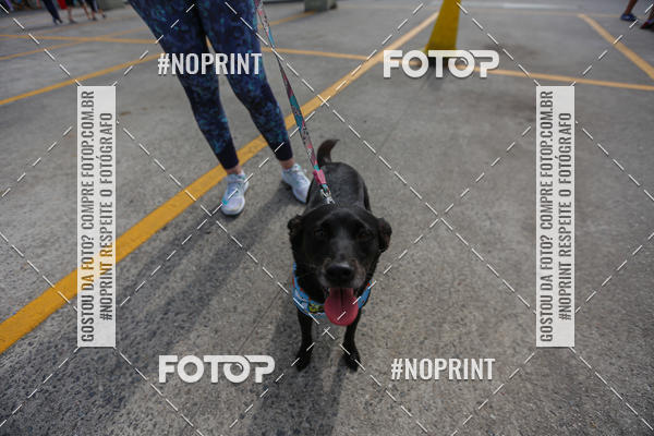 Buy your photos of the eventCorrida Scooby Doo Internacional Shopping Guarulhos 2019 on Fotop