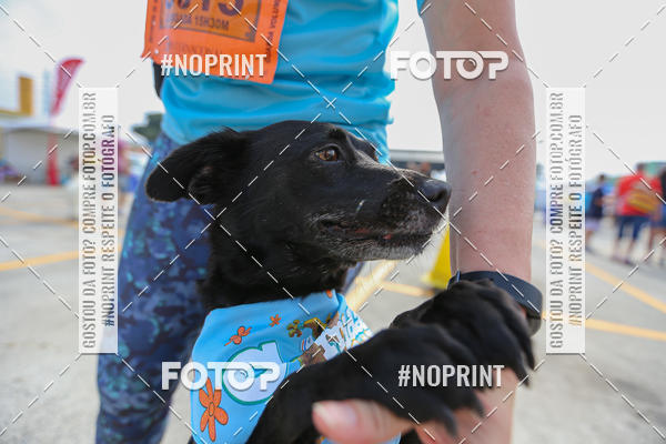 Buy your photos of the eventCorrida Scooby Doo Internacional Shopping Guarulhos 2019 on Fotop