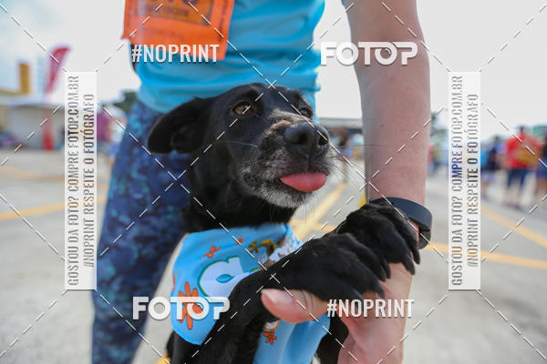 Buy your photos of the eventCorrida Scooby Doo Internacional Shopping Guarulhos 2019 on Fotop