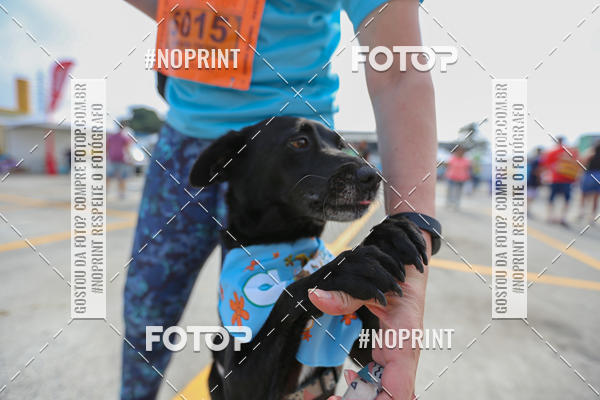 Buy your photos of the eventCorrida Scooby Doo Internacional Shopping Guarulhos 2019 on Fotop