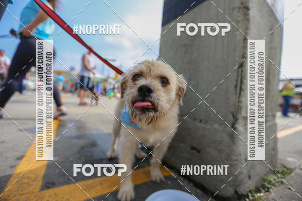 Buy your photos of the eventCorrida Scooby Doo Internacional Shopping Guarulhos 2019 on Fotop