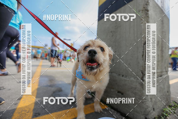 Buy your photos of the eventCorrida Scooby Doo Internacional Shopping Guarulhos 2019 on Fotop