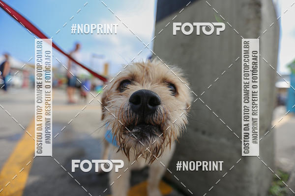 Buy your photos of the eventCorrida Scooby Doo Internacional Shopping Guarulhos 2019 on Fotop