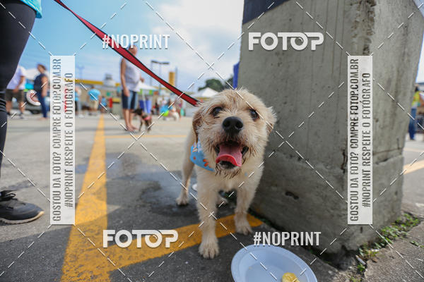Buy your photos of the eventCorrida Scooby Doo Internacional Shopping Guarulhos 2019 on Fotop