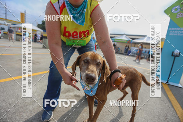 Buy your photos of the eventCorrida Scooby Doo Internacional Shopping Guarulhos 2019 on Fotop