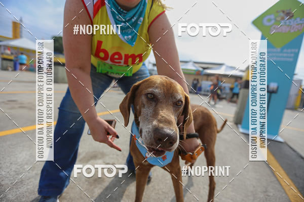Buy your photos of the eventCorrida Scooby Doo Internacional Shopping Guarulhos 2019 on Fotop