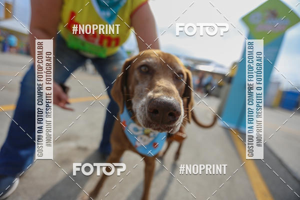 Buy your photos of the eventC�orrida Scooby Doo Internacional Shopping Guarulhos 2019 on Fotop