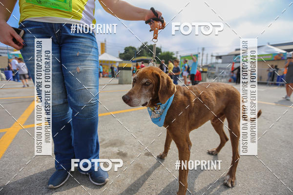 Buy your photos of the eventC�orrida Scooby Doo Internacional Shopping Guarulhos 2019 on Fotop