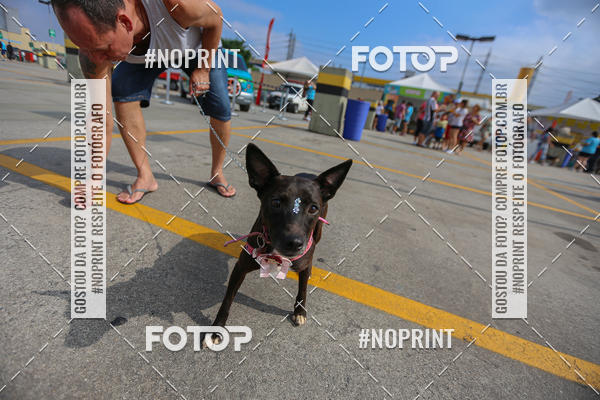 Buy your photos of the eventC�orrida Scooby Doo Internacional Shopping Guarulhos 2019 on Fotop