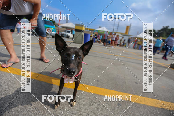 Buy your photos of the eventC�orrida Scooby Doo Internacional Shopping Guarulhos 2019 on Fotop