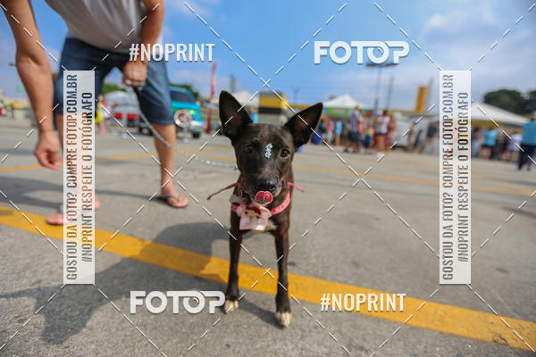 Buy your photos of the eventC�orrida Scooby Doo Internacional Shopping Guarulhos 2019 on Fotop