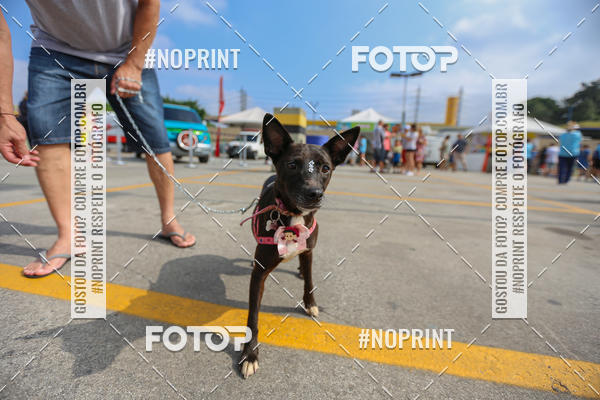 Buy your photos of the eventC�orrida Scooby Doo Internacional Shopping Guarulhos 2019 on Fotop