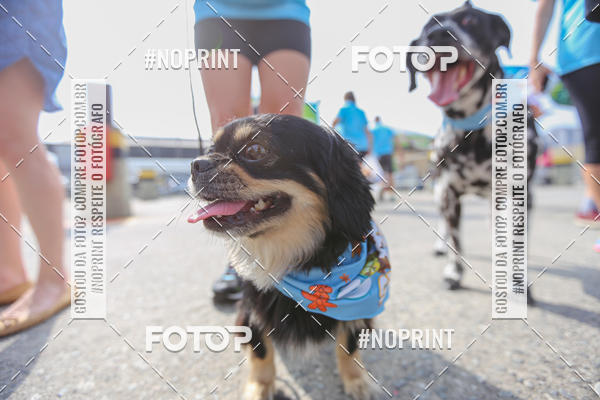 Buy your photos of the eventC�orrida Scooby Doo Internacional Shopping Guarulhos 2019 on Fotop