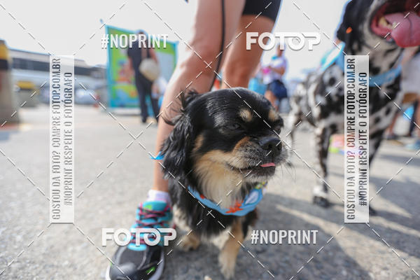 Buy your photos of the eventC�orrida Scooby Doo Internacional Shopping Guarulhos 2019 on Fotop