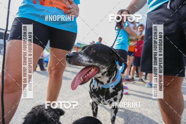 Buy your photos of the eventC�orrida Scooby Doo Internacional Shopping Guarulhos 2019 on Fotop