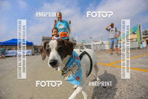 Buy your photos of the eventC�orrida Scooby Doo Internacional Shopping Guarulhos 2019 on Fotop