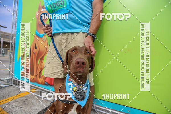 Buy your photos of the eventC�orrida Scooby Doo Internacional Shopping Guarulhos 2019 on Fotop