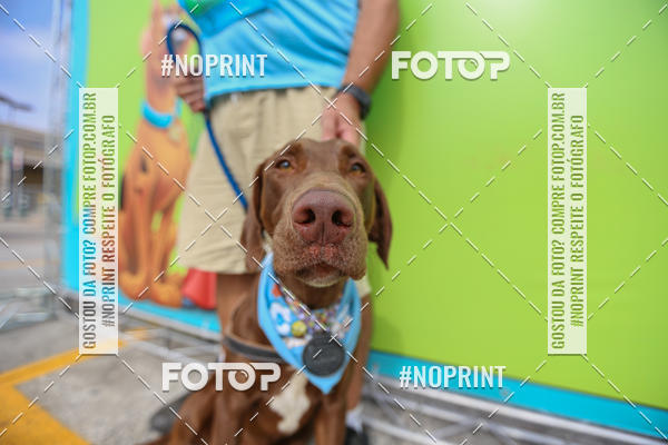 Buy your photos of the eventC�orrida Scooby Doo Internacional Shopping Guarulhos 2019 on Fotop