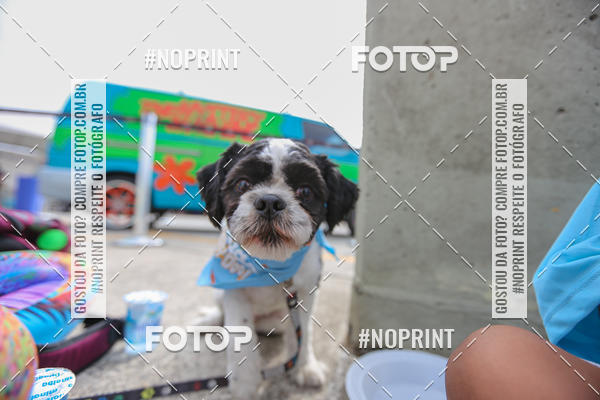 Buy your photos of the eventC�orrida Scooby Doo Internacional Shopping Guarulhos 2019 on Fotop