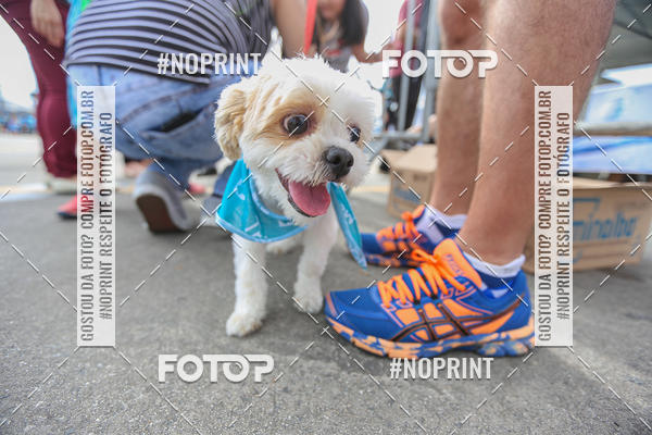 Buy your photos of the eventC�orrida Scooby Doo Internacional Shopping Guarulhos 2019 on Fotop