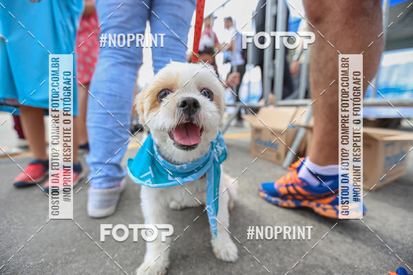 Buy your photos of the eventC�orrida Scooby Doo Internacional Shopping Guarulhos 2019 on Fotop