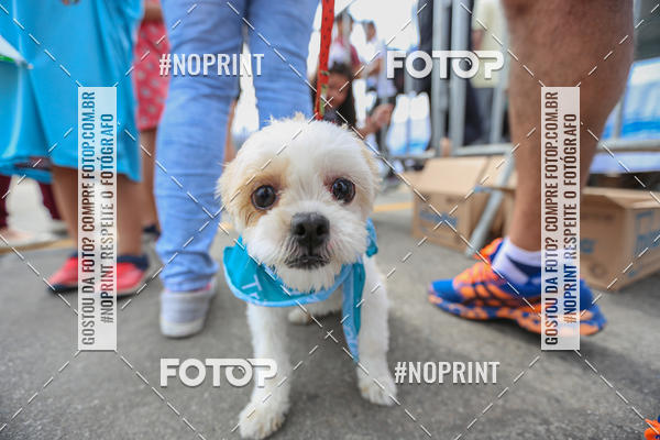 Buy your photos of the eventC�orrida Scooby Doo Internacional Shopping Guarulhos 2019 on Fotop