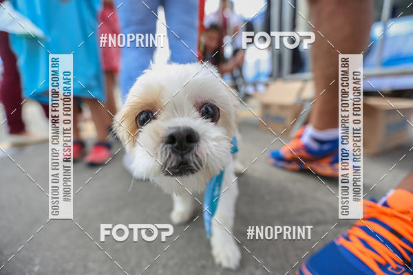 Buy your photos of the eventC�orrida Scooby Doo Internacional Shopping Guarulhos 2019 on Fotop